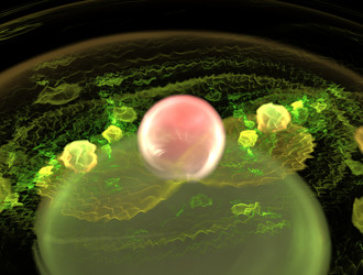 Similar image 21637356