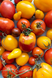 Similar image 21634445