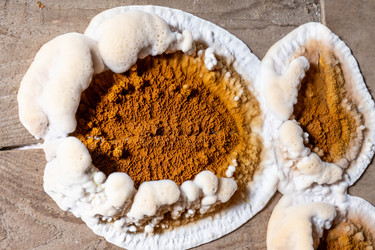 Similar image 21634447