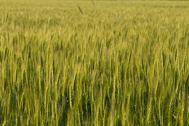 Similar image 21634449