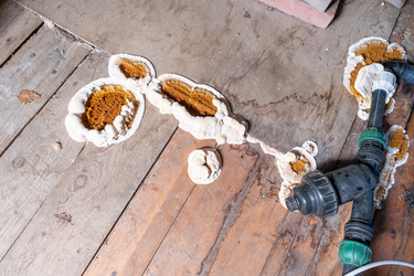 Similar image 21634450