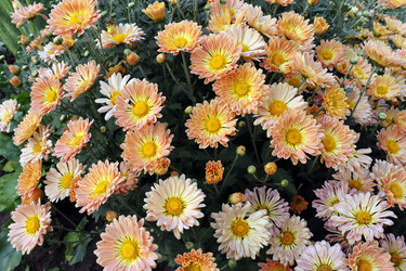 Similar image 21634267