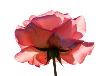 Similar image 21634464