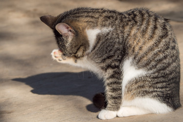 Similar image 21634467