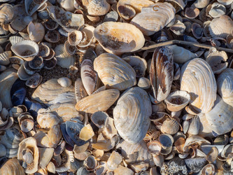 Similar image 21634470