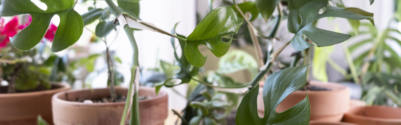 Similar image 21639710