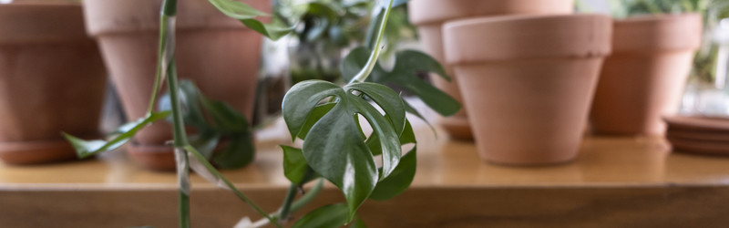 Similar image 21639711