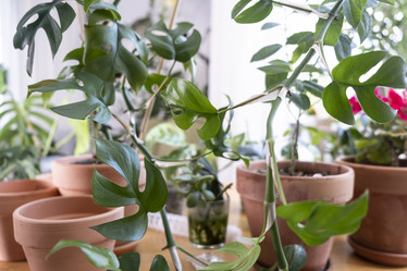 Similar image 21639712