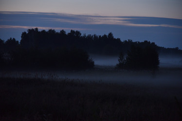 Similar image 21634479