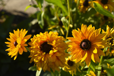 Similar image 21634484