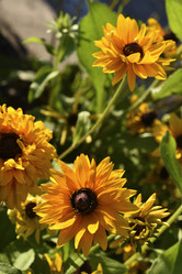 Similar image 21634760