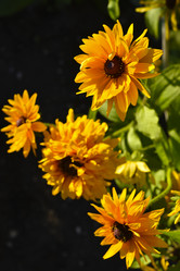 Similar image 21634761