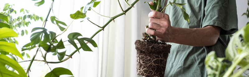 Similar image 21639464