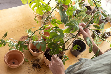 Similar image 21639466