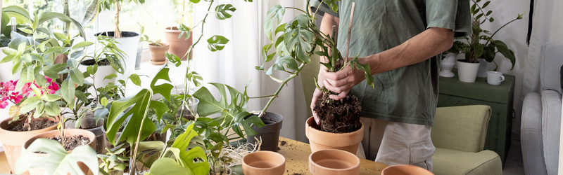 Similar image 21639468