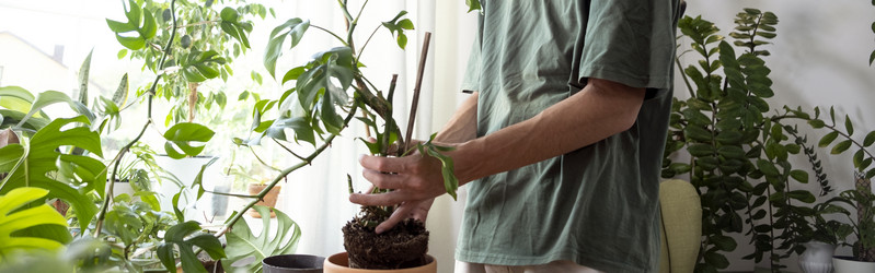 Similar image 21639471