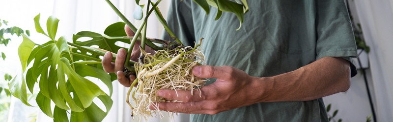 Similar image 21639473