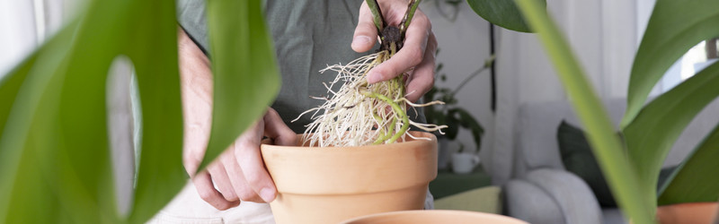 Similar image 21639474