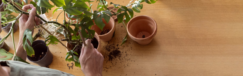 Similar image 21639475