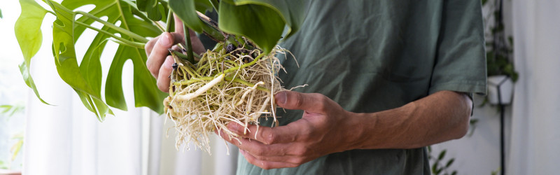 Similar image 21639476