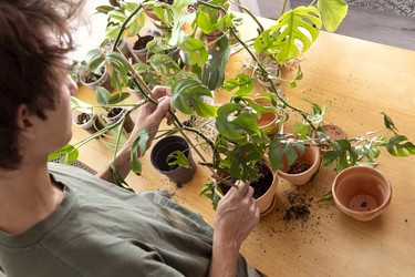 Similar image 21639477