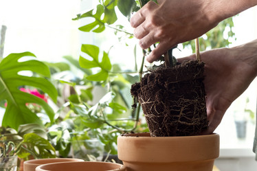 Similar image 21639478