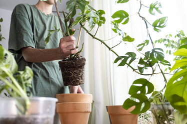 Similar image 21639717