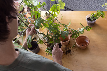 Similar image 21639719