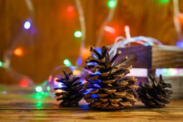 Similar image 21636291