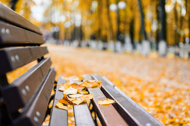 Similar image 21647453