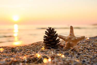 Similar image 21648396