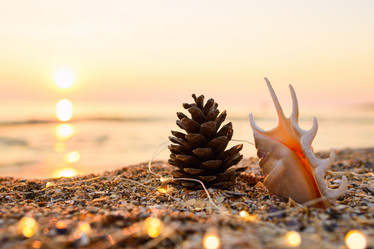 Similar image 21648397