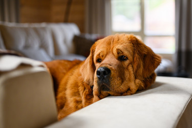 Similar image 21634488