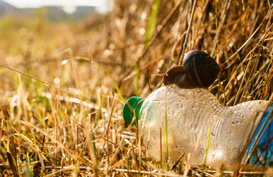 Similar image 21643183