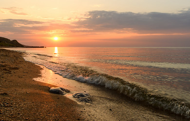 Similar image 21641766