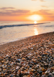 Similar image 21634492