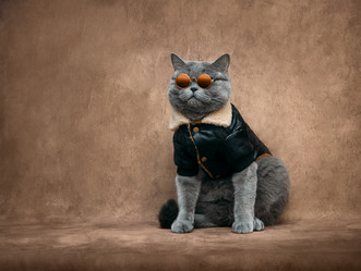 Similar image 21634495