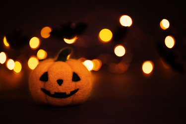 Similar image 21634503