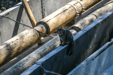 Similar image 21635085