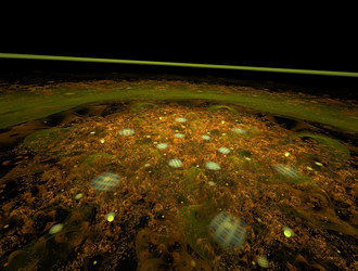 Similar image 21637074