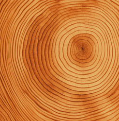 Similar image 21635427