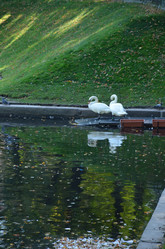 Similar image 21635126