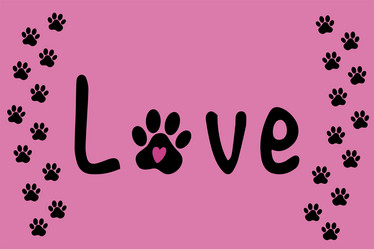 Similar image 21635545