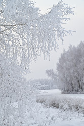 Similar image 21636454