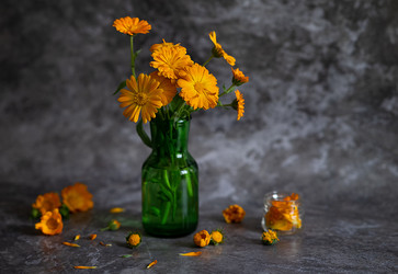 Similar image 21636455