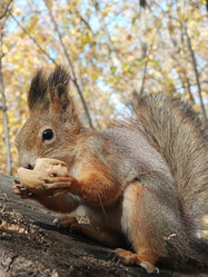 Similar image 21635773