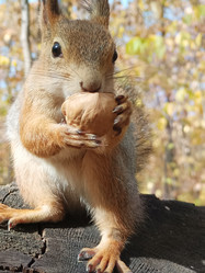 Similar image 21635131