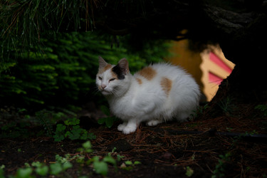 Similar image 21635134