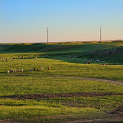 Similar image 21635651