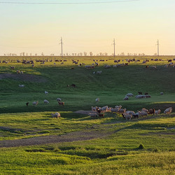 Similar image 21635652